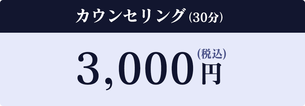 3,000円（税込）